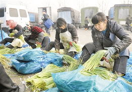 商務部監測顯示 蔬菜批發價格連續十周上漲，食用農產品市場波動引關注