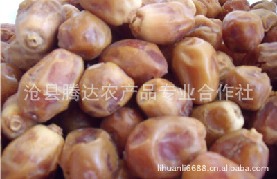 新疆和田玉棗批發價格及廠家全解析 若羌棗、灰棗、駿棗品質分級指南