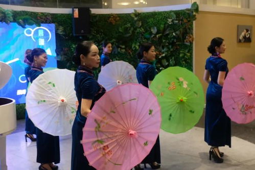 品牌天下戰(zhàn)略合作晨曦藝術(shù)公司會員主題活動圓滿舉行